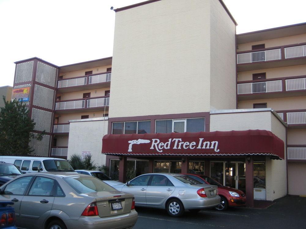 Oasis Hotel North Myrtle Beach Eksteriør billede