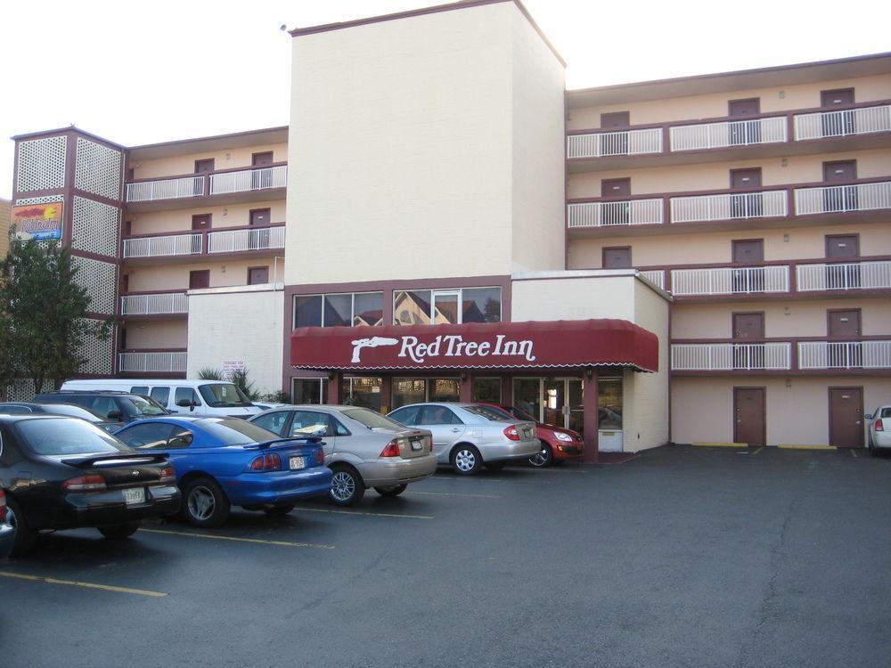 Oasis Hotel North Myrtle Beach Eksteriør billede